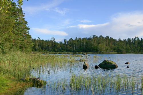 Allt fler flyttar till Eskilstuna Kommun